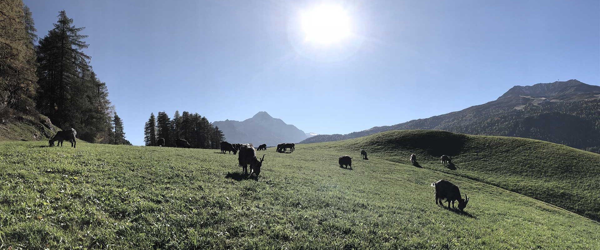 Holidays on a farm in Sölden - Ötztal